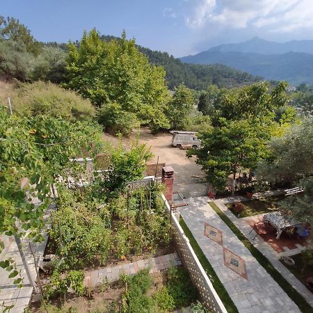 Elpida Apartment Limenas  Zewnętrze zdjęcie
