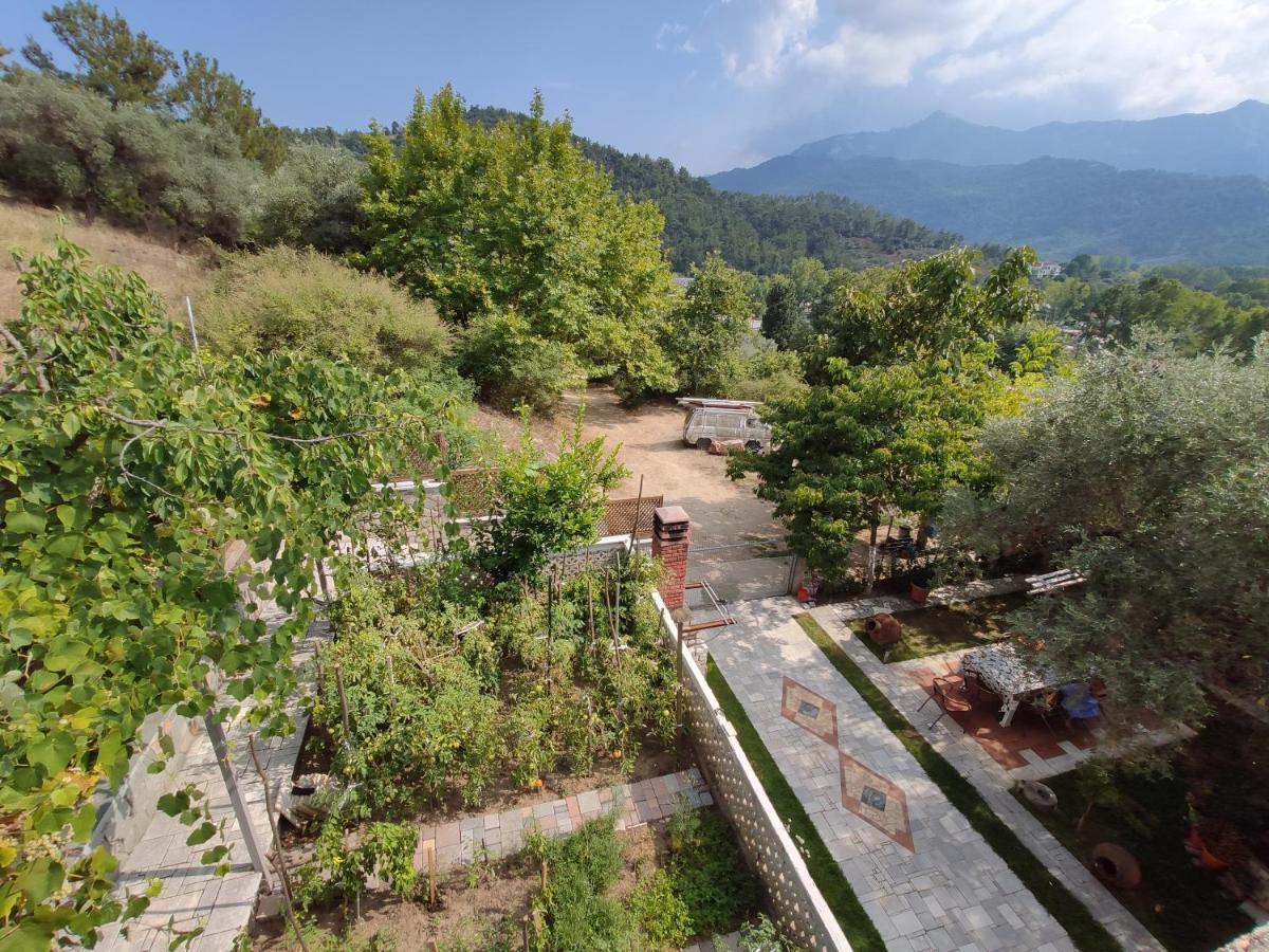 Elpida Apartment Limenas  Zewnętrze zdjęcie